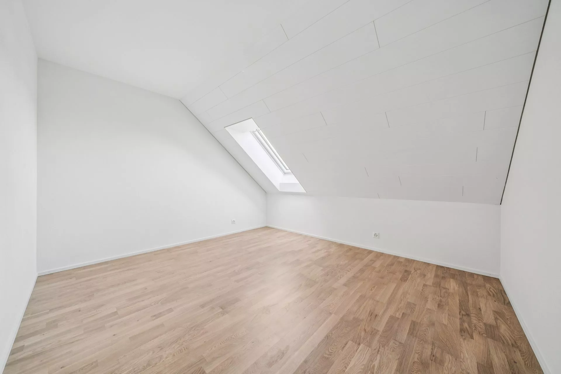 backbone_592614-A_031_WEB